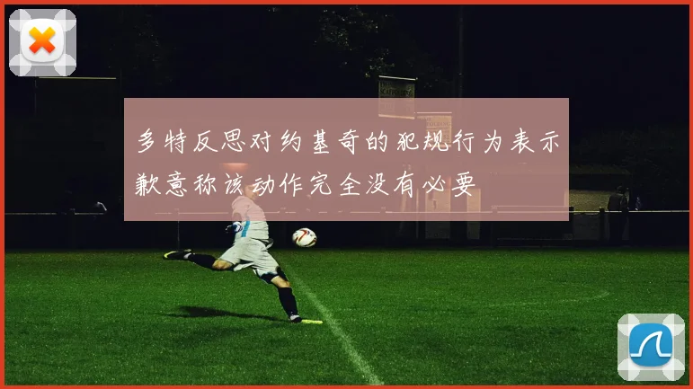 多特反思对约基奇的犯规行为表示歉意称该动作完全没有必要