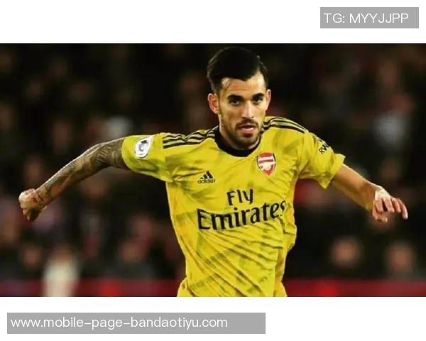 尤文图斯与莱切中卫加布里埃尔展开初步谈判引发关注 尤文图斯与莱切中卫加布里埃尔展开初步谈判引发关注